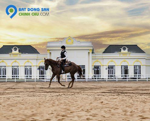 Bán Shophouse Tài Lộc Sống Ở Tài Lộc Đầu Tư Sinh Lời, An Nhiên Sinh Phú Quý!