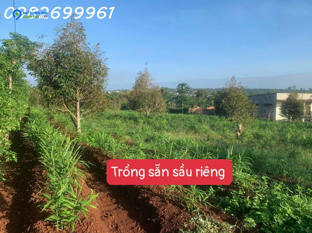 700 triệu giờ chỉ bán 350 triệu sát bên ủy ban xã phú xuân krong năng, đường bê tông