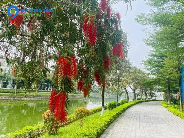 BÁN BIỆT THỰ- NHÀ VƯỜN VISTALAGO – SỐNG THƯỢNG LƯU ĐỘC QUYỀN GIỮA “TRÁI TIM” TÂY HÀ NỘI  GIÁ 3X TỶ