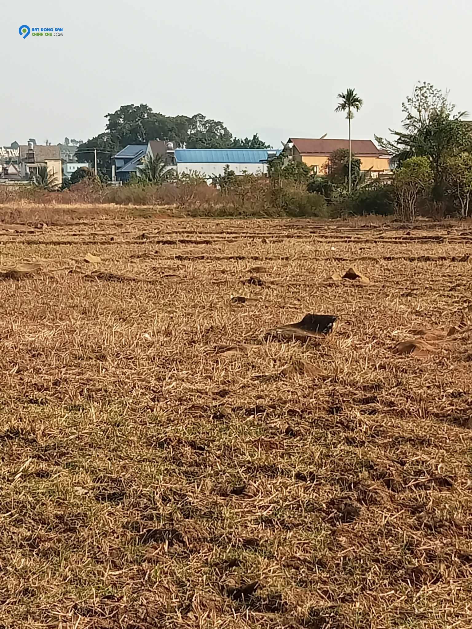 BÁN ĐẤT ĐẸP - Vị Trí Đắc Địa Tại Huyện Di Linh, Lâm Đồng