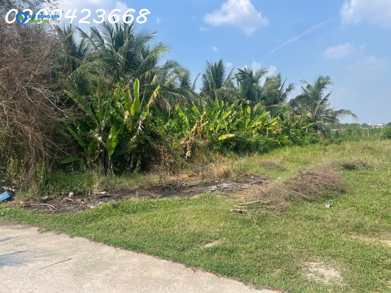 BÁN GẤP ĐẤT FULL THỔ 355M² – XÃ ĐỨC LẬP THƯỢNG – GIÁ CHỈ 1 TỶ 950 TRIỆU