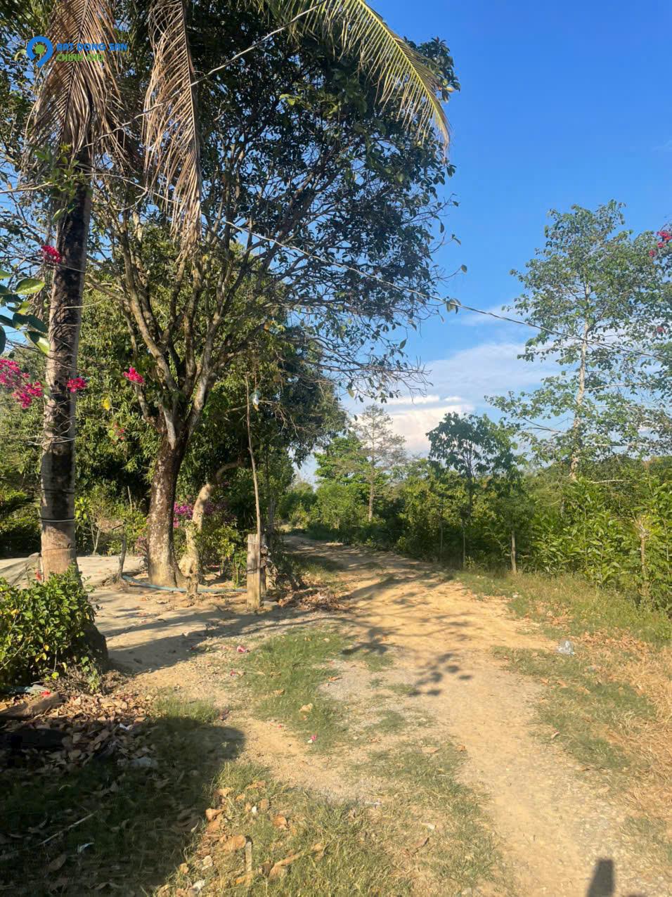 BÁN LÔ ĐẤT TRỒNG CÂY LÂU NĂM TẠI ĐỊNH QUÁN - ĐỒNG NAI