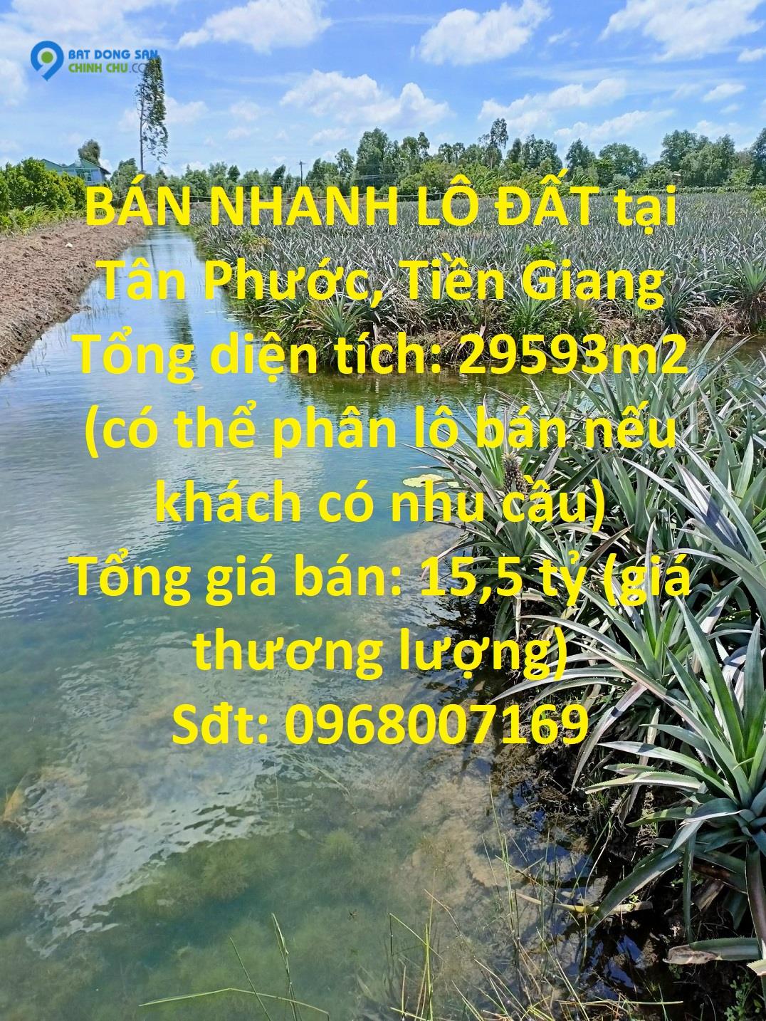 BÁN NHANH LÔ ĐẤT tại Tân Phước, Tiền Giang