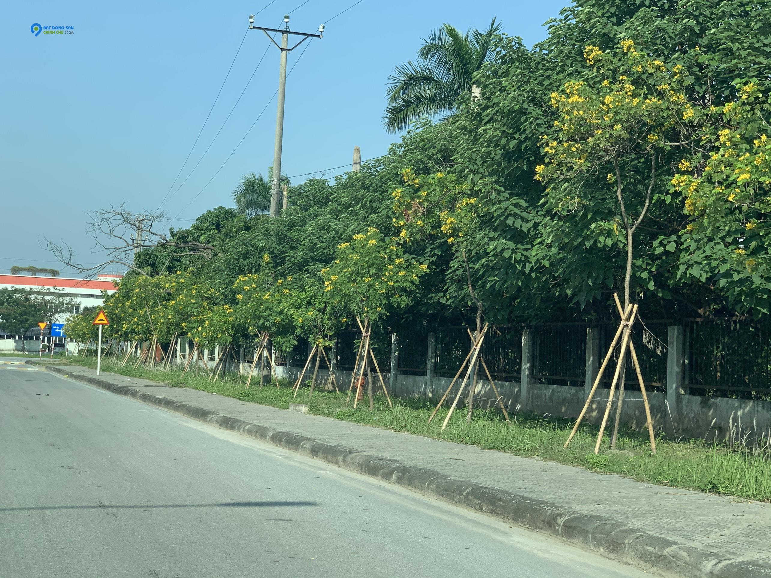 Bán Lô Đất Kinh Doanh Buôn Bán Được, vị trí đẹp ngay trục đường 362