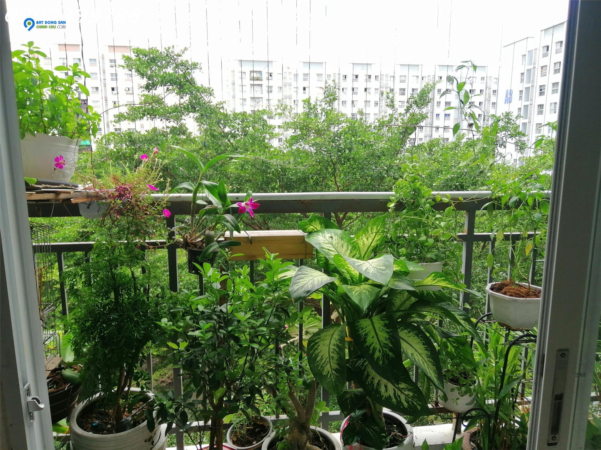 Bán căn hộ quận Bình Tân  2PN, 2 WC, 64m2 có ban công view hồ bơi giá 1.78 tỷ, lh0902399788