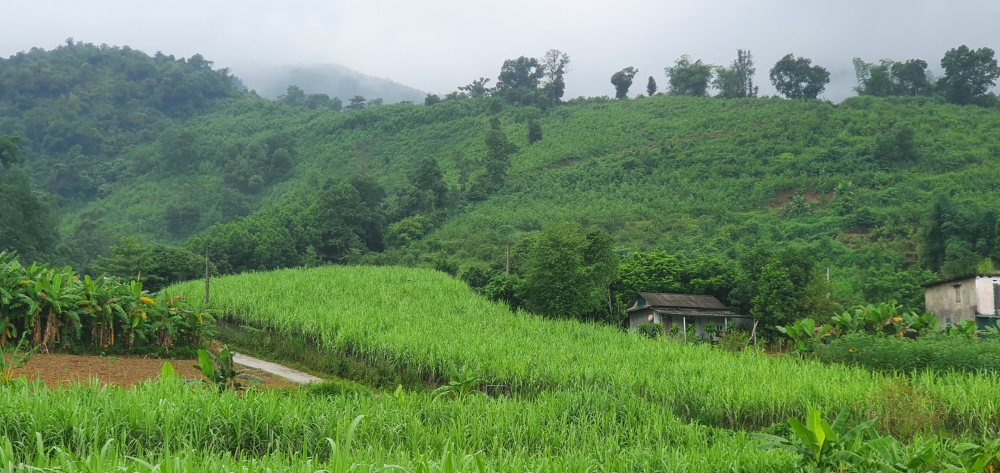 Bán đất Cao Phong, Hòa Bình - Lô góc, phong thủy tựa sơn, đã có quy hoạch đất ở, tiềm năng tăng giá