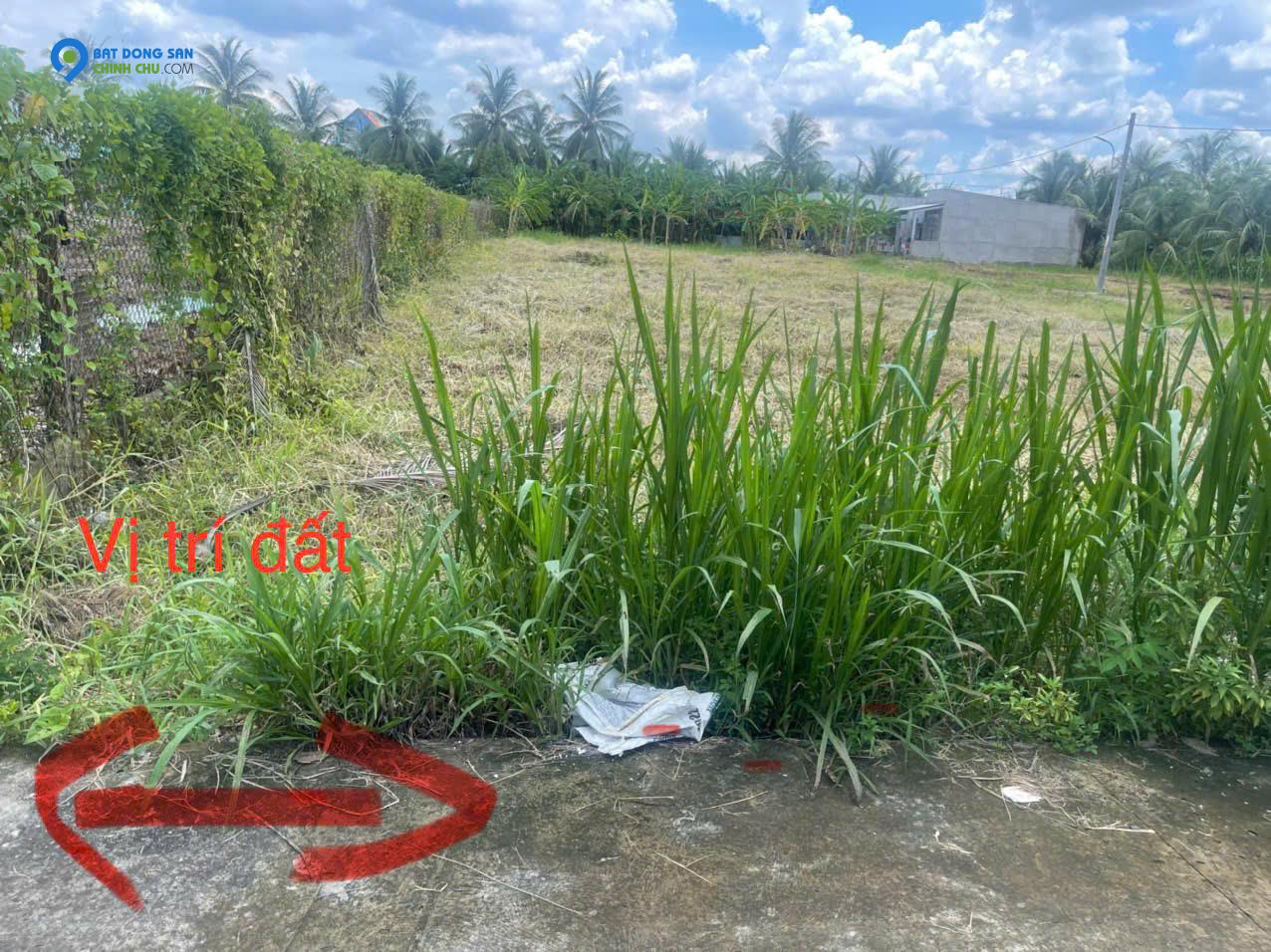 Bán đất KCN Tân Hương, 520tr, 115m2, pháp lý đầy đủ.