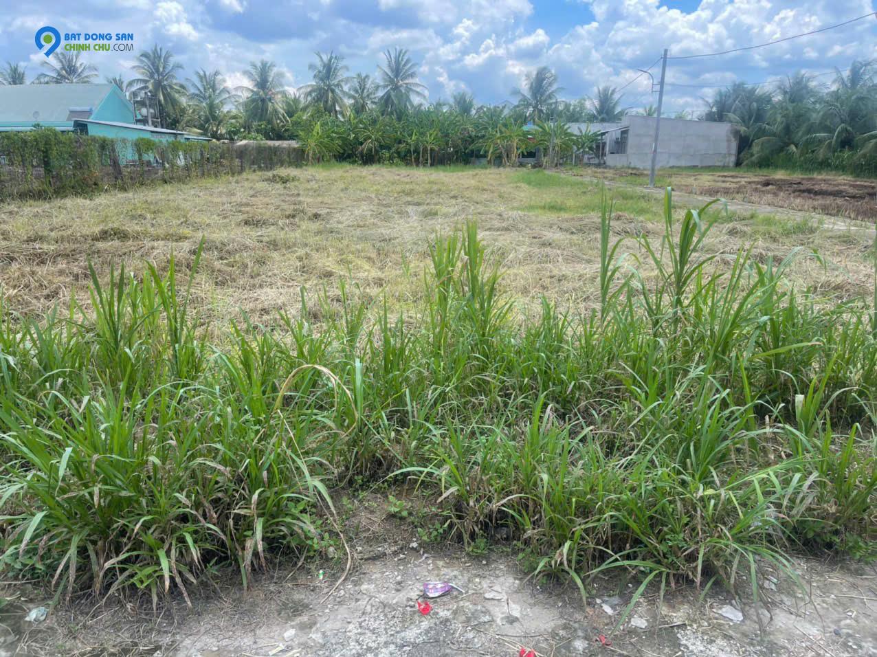 Bán đất KCN Tân Hương, 520tr, 115m2, pháp lý đầy đủ.