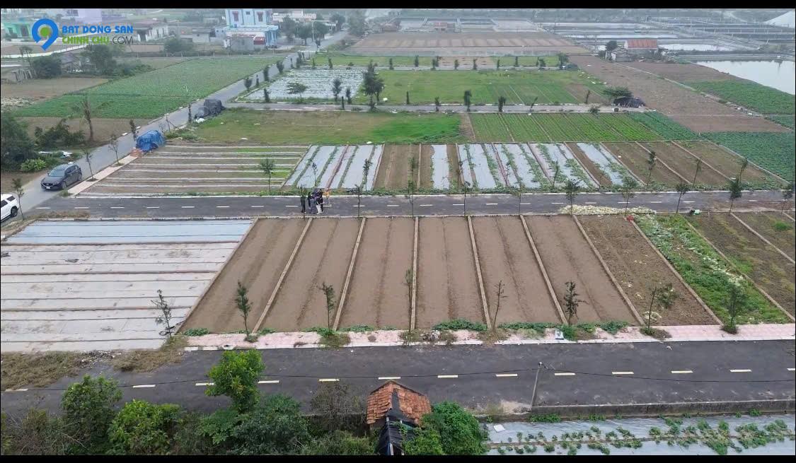 Bán đất biển Quất Lâm, sổ đỏ lâu dài, giá chỉ từ 1 tỷ