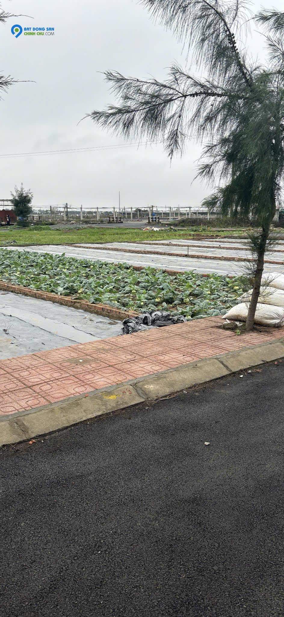 Bán đất nền ven biển Quất Lâm sẵn sổ full cư