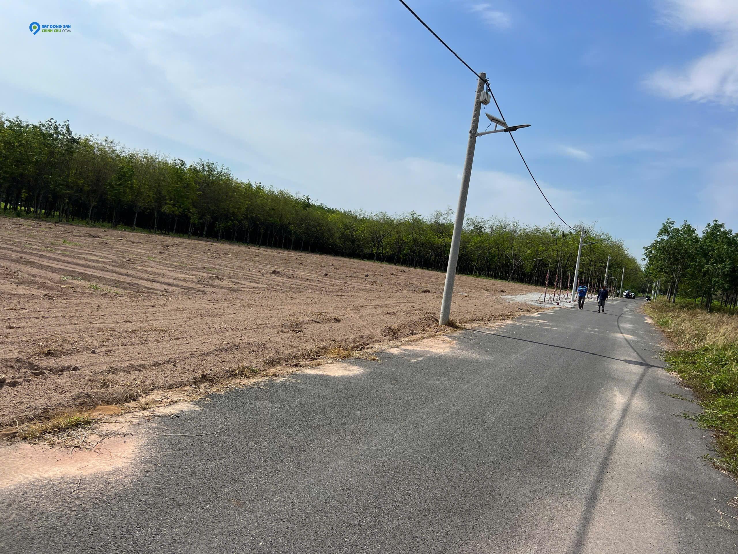 Bán đất tại Đường 741, Chánh Phú Hòa, Bến Cát, Bình Dương giá cực chất 1,26 tỷ, 339m2
