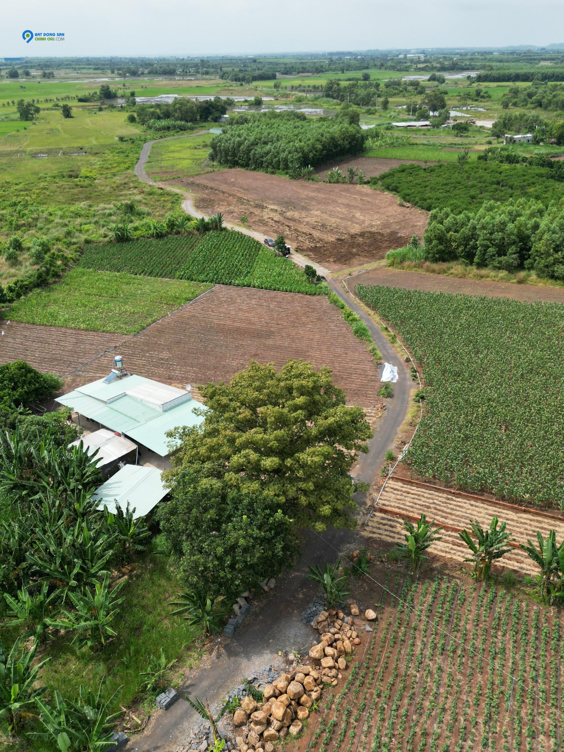 Bán đất thích hợp vừa làm nhà vườn vừa làm kênh đầu tư trung hạn tại Bà Rịa Vũng Tàu