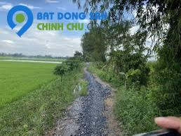 Bán gấp đất ruộng.