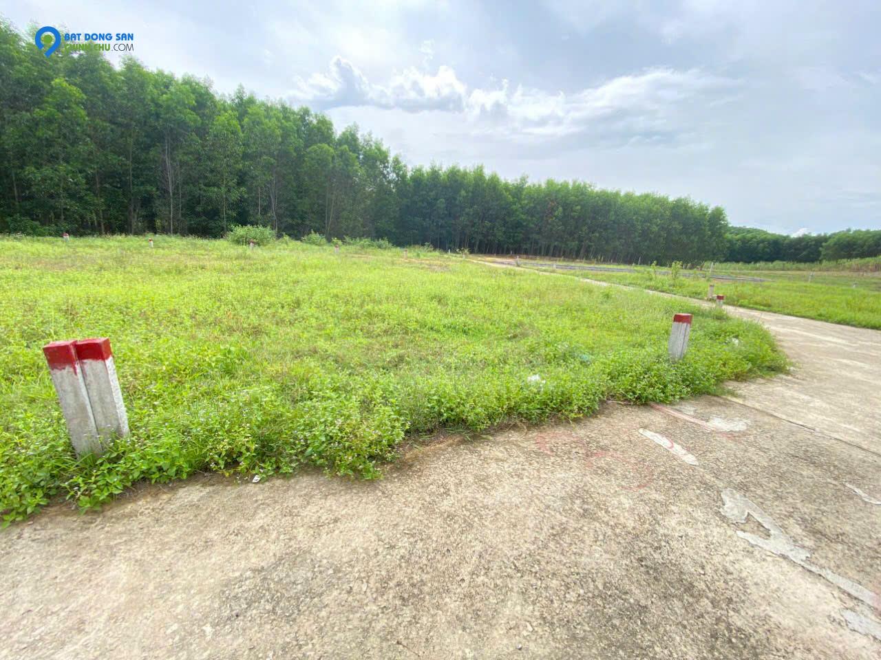 Bán lô đất Diên tân 117 m2 - DIÊN KHÁNH - KHÁNH HÒA - Giá 550 tr