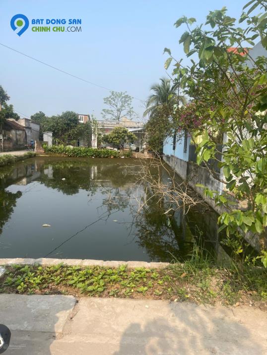 CHÍNH CHỦ GỬI BÁN ĐẤT TẠI THÔN NAM ĐẠI - XÃ QUỲNH BẢO - QUỲNH PHỤ - THÁI BÌNH
