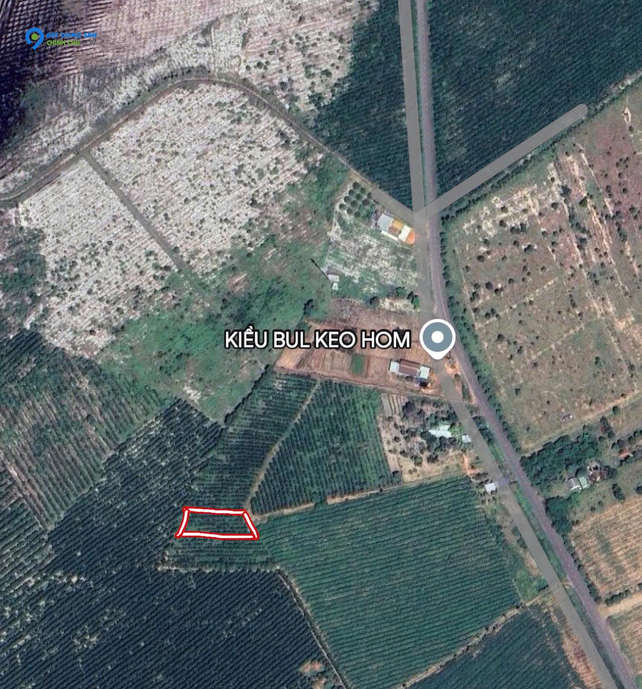 CƠ HỘI ĐẦU TƯ: 1033m2 ĐẤT THỔ CƯ THẮNG HẢI - HÀM TÂN - BÌNH THUẬN - GIÁ CHỈ 1 TỶ - SỔ ĐỎ