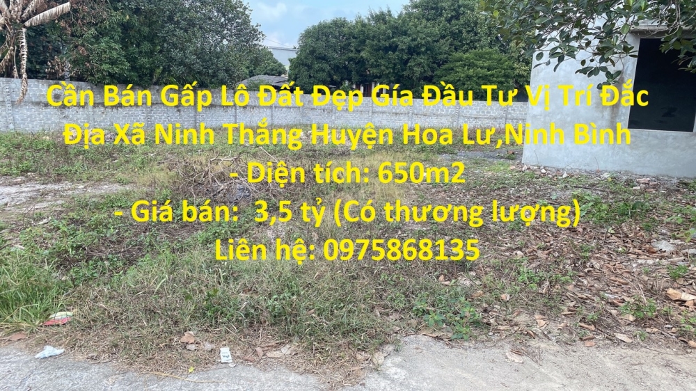 Cần Bán Gấp Lô Đất Đẹp Gía Đầu Tư Vị Trí Đắc Địa Xã Ninh Thắng Huyện Hoa Lư,Ninh Bình