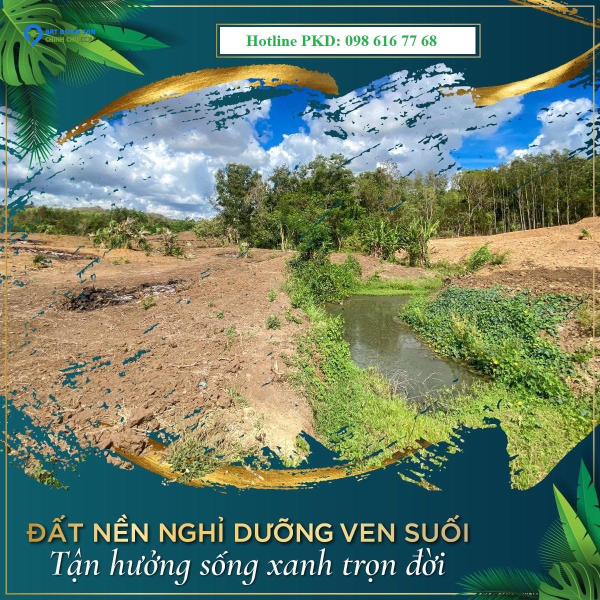 Cần mua đất, nhà phố tại phường Vĩnh Phú, Thuận An, Bình Dương