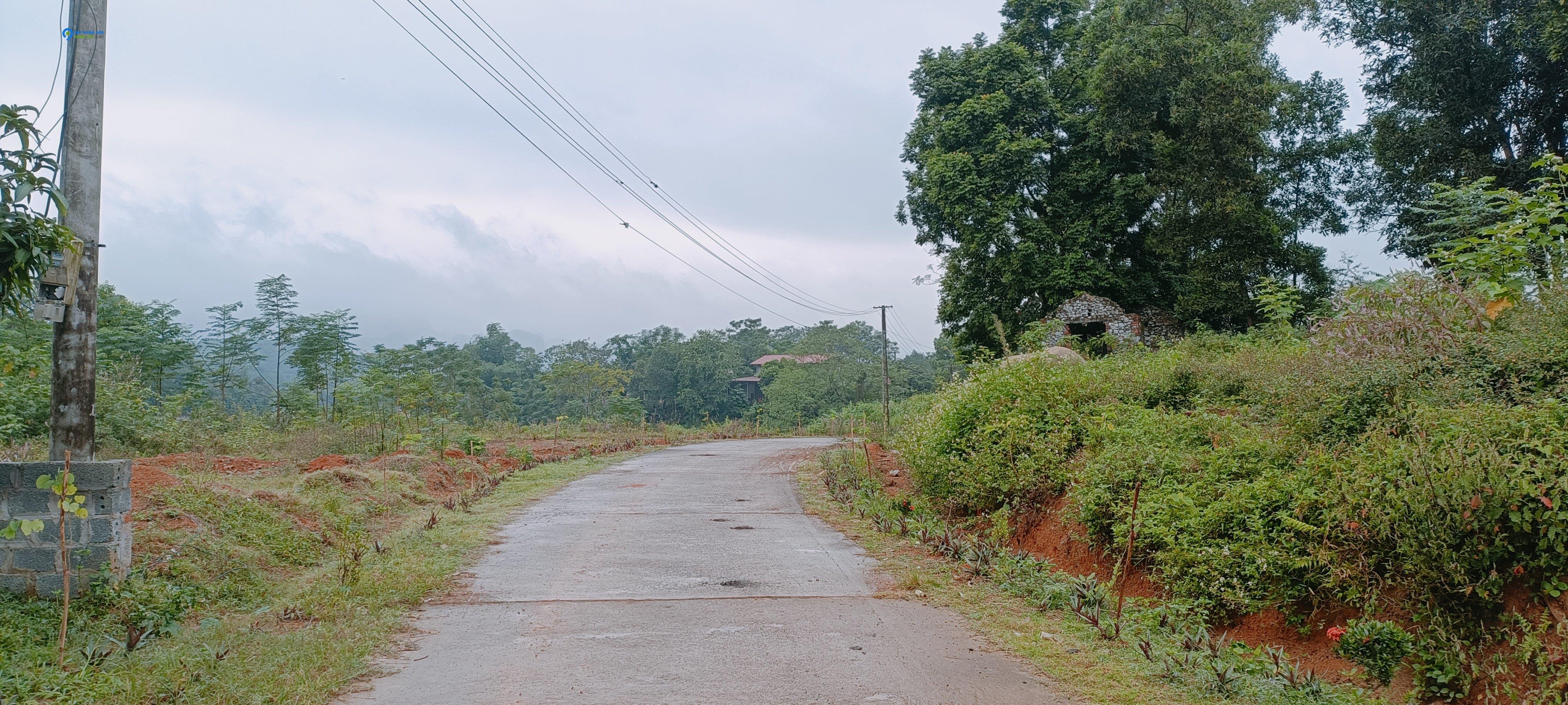 Chính Chủ nhờ bán giúp 1200m Mặt Tiền Đường Oto Tránh, View Cánh Đồng Dịu Êm, Gần Đường QL