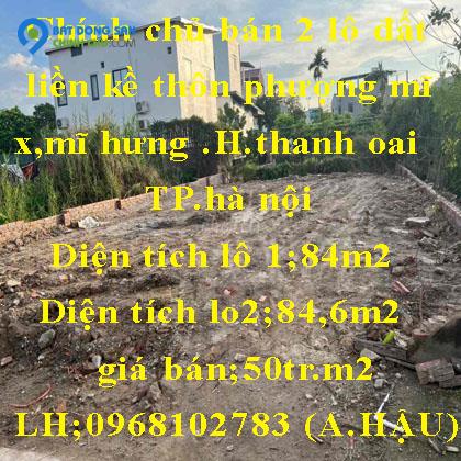 Chính chủ bán 2 lô đất liền kề thôn Phượng Mỹ, Xã Mỹ Hưng, Huyện Thanh Oai, Hà Nội