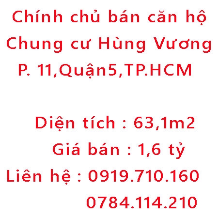 Chính chủ bán căn hộ Chung cư Hùng Vương ,Phường 11,Quận5,TPHCM