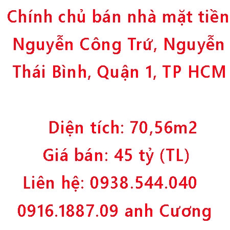 Chính chủ bán nhà mặt tiền Nguyễn Công Trứ, trung tâm Quận 1