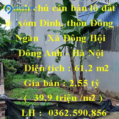 Chính chủ cán bán lô đất ở  xóm Đình, thôn Đông Ngàn   Xã Đông Hội -  Đông Anh - Hà Nội