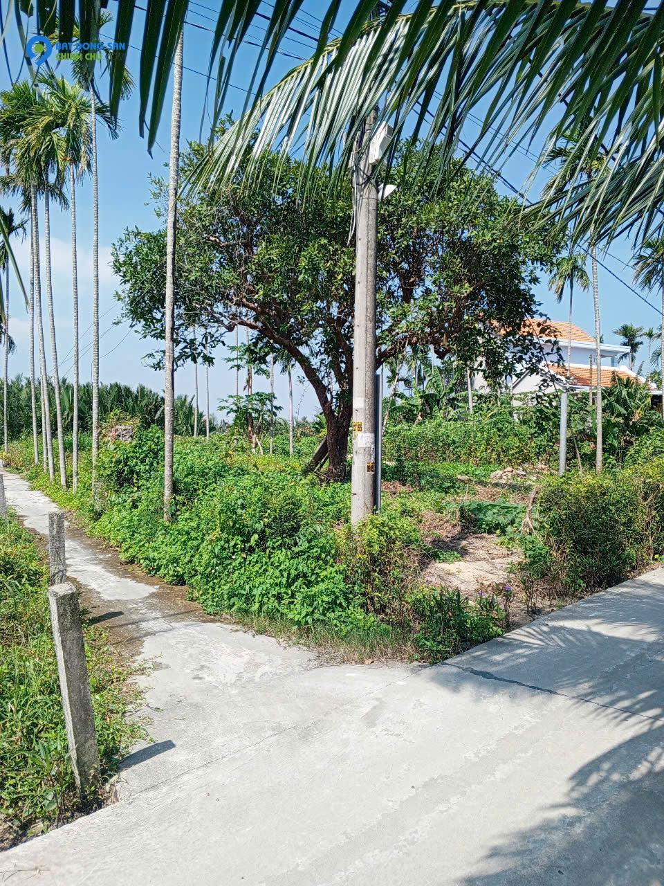 Chủ kẹt tiền cần bán lô đất tại MT đường DX 017 có 1000 m² đất ở., Cẩm Thanh giá 18 tỷ