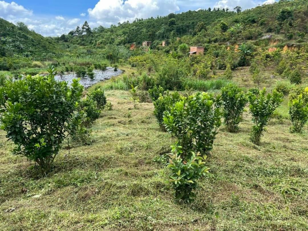 Chủ ngợp tiền cần bán gâp lô đất Bảo Lộc-Lâm Đồng vị trí đắc địa , pháp lý rõ ràng