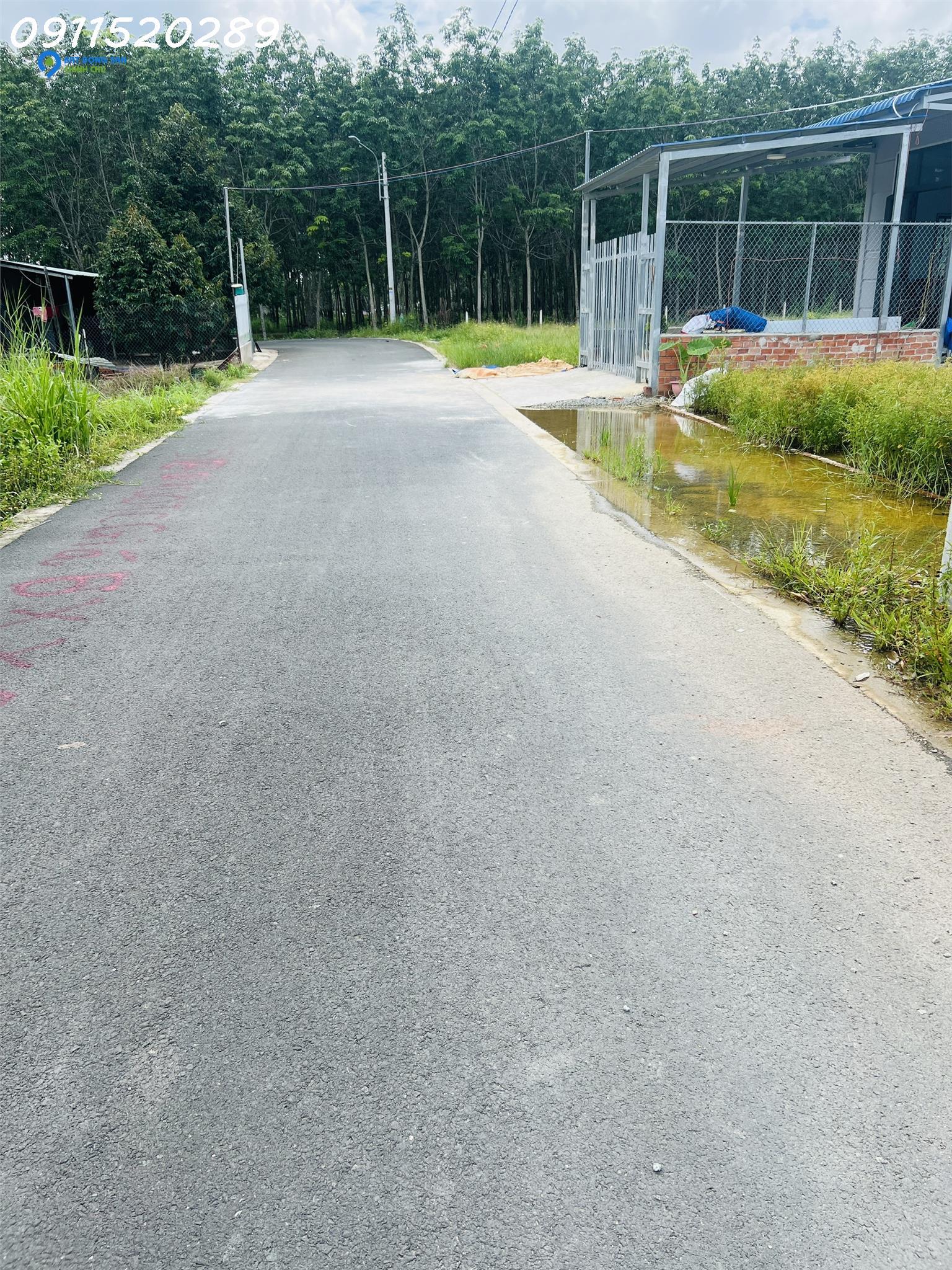 ĐẤT NGỘP - GIÁ CÔNG NHÂN