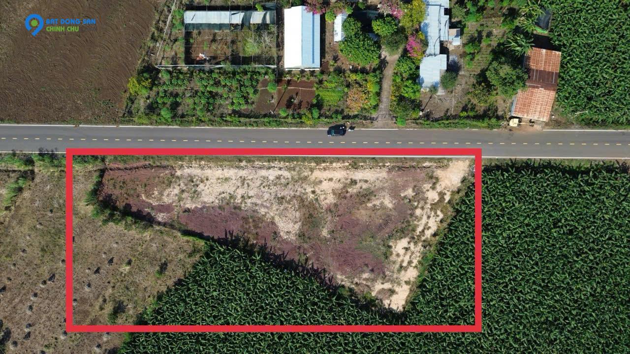 Đầu tư đất Long Tân giá rẻ chỉ với 300 triệu sở hữu ngay
