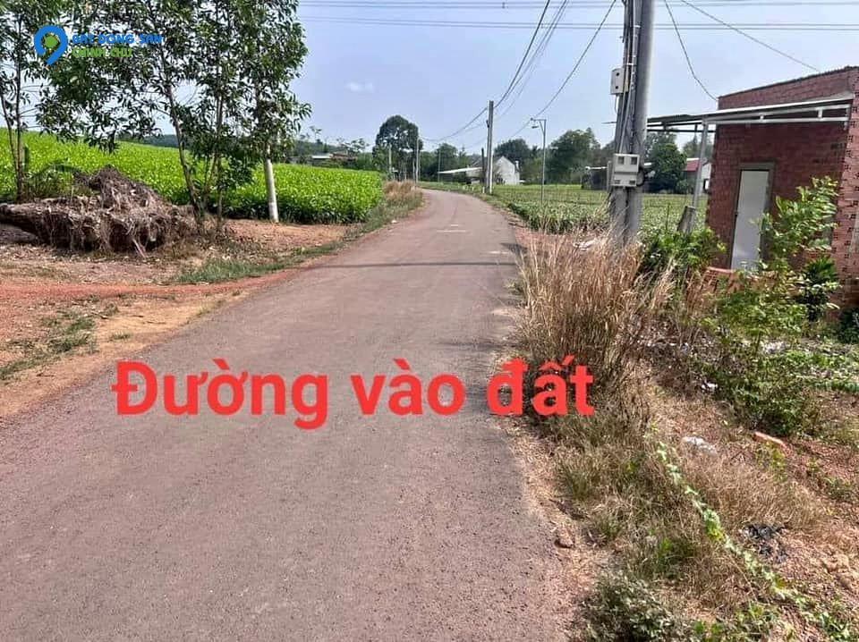 Ngân Hàng Thanh Lý lô đất vườn 6700m2 giá 385TR sát Quốc Lộ, gần chợ, dân cư dông.