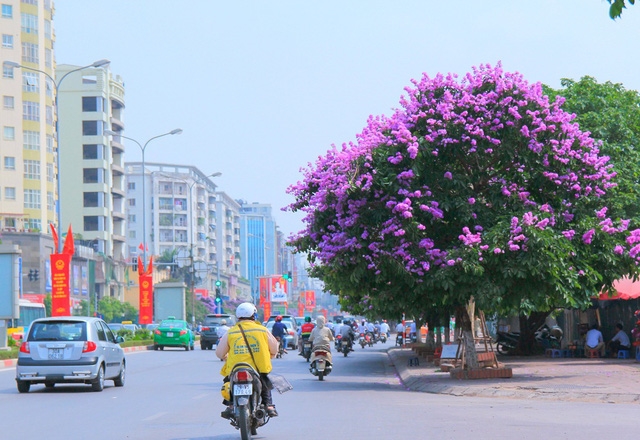 Nhà mặt phố Đào Tấn, Ba Đình, lô góc, vỉa hè 10m, 4 oto tránh. 161m2 x MT 15m, giá 50 tỷ