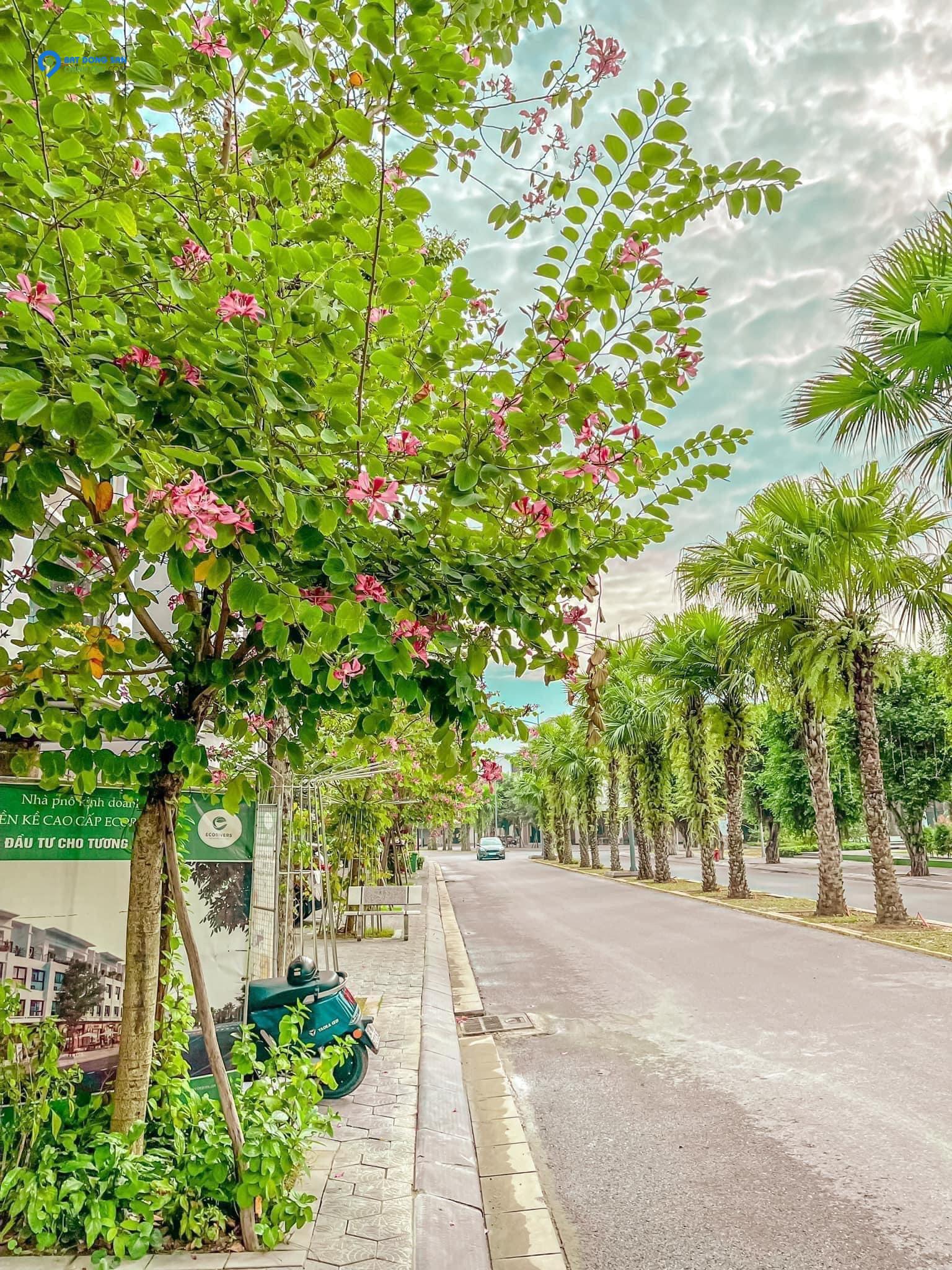 SIÊU HIẾM THANH LÝ GẤP BIỆT THỰ ECOPARK 200M2