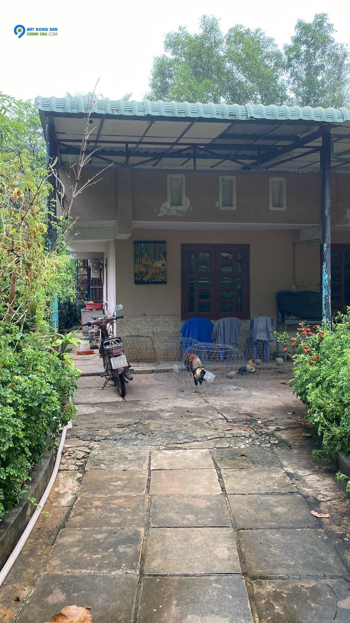 Xem là chốt ngay, 5tr.m2, diện tích 1500m2, Nhị Bình, Hóc Môn