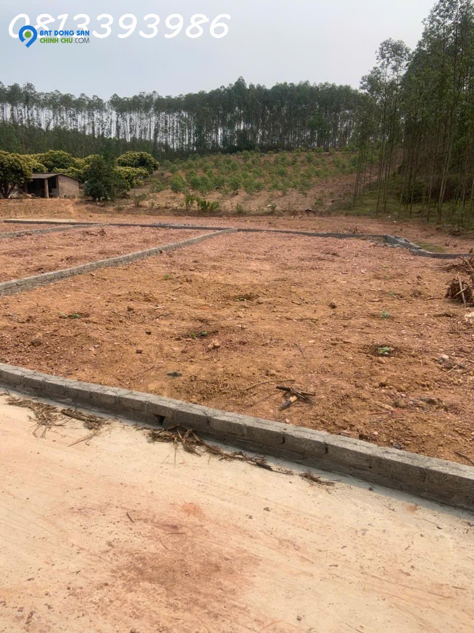 🌟 “180m² mặt tiền rộng, vị trí vàng – chớp cơ hội sinh lời chỉ trong một quyết định!”