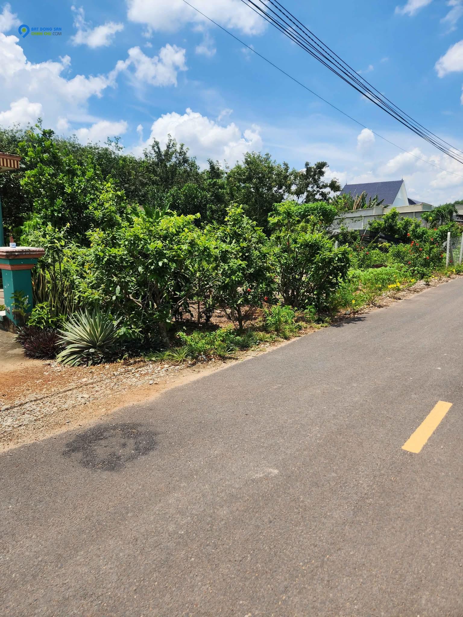 🏡 Bán 200m² thổ cư 100% giá 2 tỷ 250 triệu, gần KCN, đường nhựa 7m ⚡