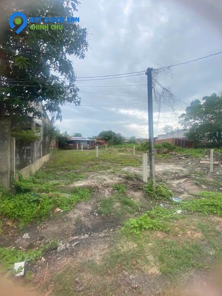📍 Đất thổ cư mặt tiền đường nhựa 7m – Giá chỉ 480 triệu