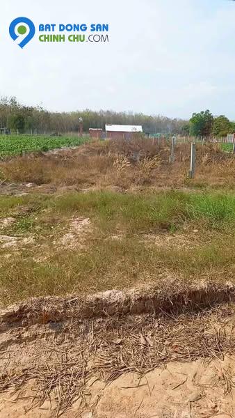 📍 Đất thổ cư mặt tiền đường nhựa 7m – Giá chỉ 480 triệu