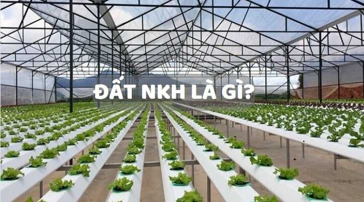 Đất NKH là gì? Có được xây nhà trên đất NKH?
