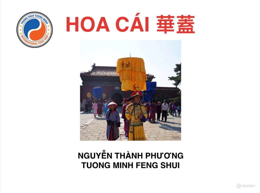 Hoa Cái - Người tài năng nhưng cô đơn