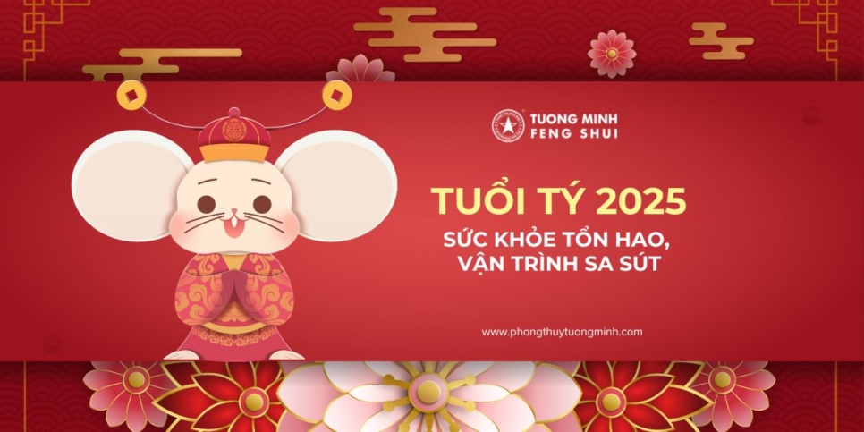 Tuổi Tý năm Ất Tỵ 2025: Sức khỏe tổn hao, vận trình nhiều biến động